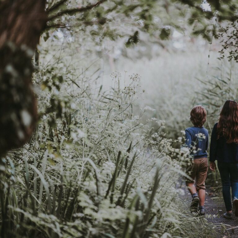 Zwei Kinder flanieren über dicht bewachsenen Waldweg